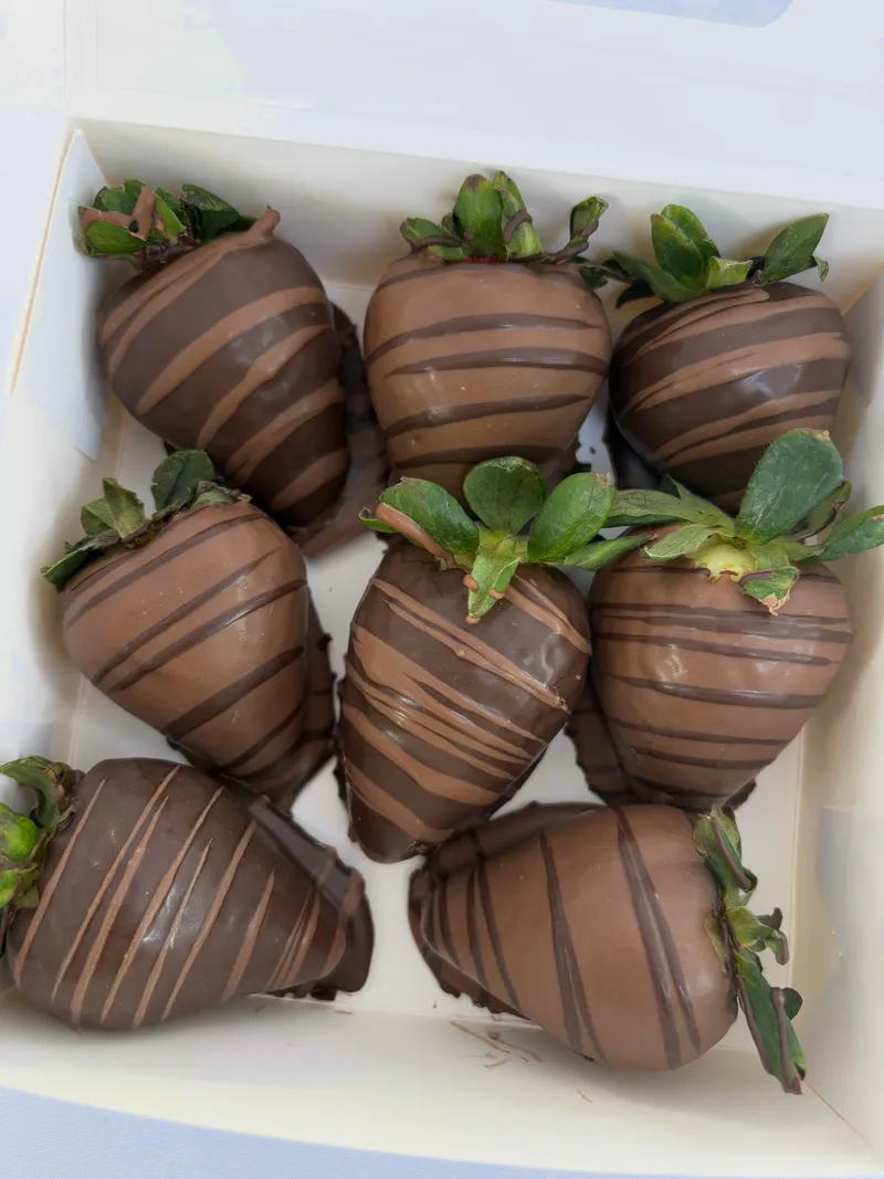 Gift box of fresh chocolate-covered strawberries with cocoa drizzle, handcrafted in Charleston by A Touch of Chocolate